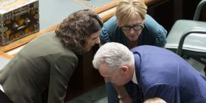 Allegra Spender and Zoe Daniel in discussion with Leader of the House Tony Burke during Question Time. 