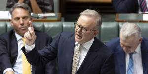 Prime Minister Anthony Albanese during question time on Tuesday.