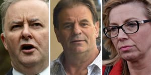 Anthony Albanese has sought Victorian construction union boss John Setka's expulsion from the ALP over comments he made about family violence campaigner Rosie Batty. 