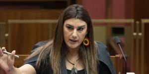 Greens senator Lidia Thorpe has so far refused to apologise for her alleged conduct in the June 2021 meeting,and instead maintains the meeting involved a “robust discussion”.