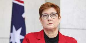 Former foreign minister Marise Payne is retiring from politics. 