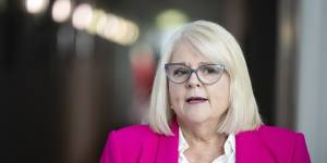 Former home affairs minister Karen Andrews is critical of Pezzullo.