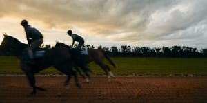 The changing face of Australia’s greatest – and deadliest – horse race