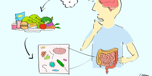 Gut feeling:Research flips relationship between gut health and autism