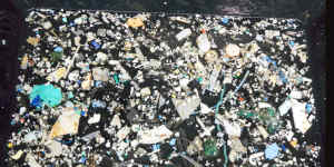 A sampling of plastic from the Great Pacific Garbage Patch.