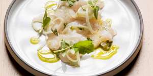 Snapper crudo with pickled fennel.