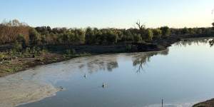 'Wonderful'flows prompt removal of Lower Darling River temporary dams
