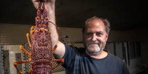 Victorian Rock Lobster Association president Markus Nolle confronting the surplus. 