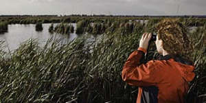 Soaking in the wetlands