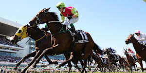 Robbie Dolan rides Knight’s Choice to narrowly win the Melbourne Cup from Warp Speed.