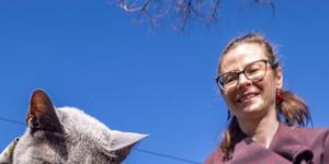 He wasn't allowed out at night because of a curfew,but Kepler Cornelius's owner petitioned the council and had that changed.