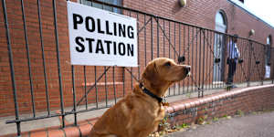 A dog sits outside a polling station in London during the last UK election. Just over 48 million people were eligible to cast a ballot,while there are about 1.6 million 16 and 17-year-olds.
