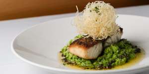 Pan-fried barramundi on peas textured with sunflower seeds and capers.