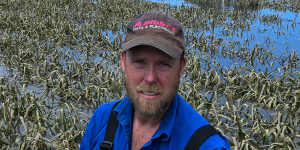 Garlic farmer Troy Mcinnes’ flooded farm on Restdown Road near Rochester.