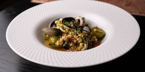 Fregola with clams,calamari and anchovy butter is considered and confident.