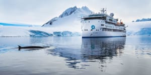 Polar snorkelling in Antarctica with Aurora Expeditions