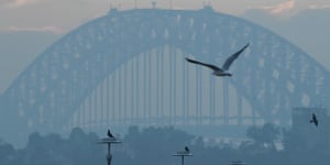 Sydney in a smoky haze after state-wide hazard reduction burns