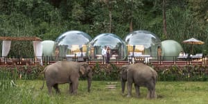 Elephant gazing has never been so luxe,with additions such as a hot tub.