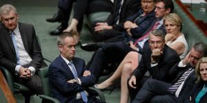 Opposition Leader Bill Shorten and Shadow Attorney-General Mark Dreyfus during a Labor resolution in the House of Representatives on Wednesday.