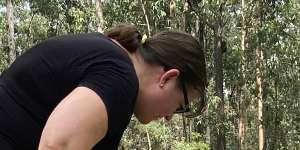 Kids go bush as Brisbane program teaches tots to learn among the gumtrees