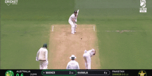 Important moment:Abdullah Shafique drops an easy catch.