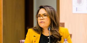 CLP Senator Jacinta Nampijinpa Price asked David Anderson why there were no Indigenous reporters stationed at Alice Springs.