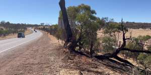Three brothers,including nine-year-old,among four killed in horror Wheatbelt crash