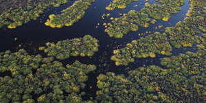 Plibersek swamps Victoria on Murray Darling water buybacks