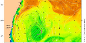 Warm water off the NSW coast contributed to the record dew point.