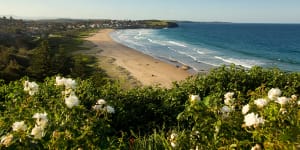 Sydney’s sea and tree changers push regional house prices to record highs