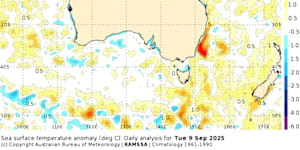 The latest sea surface temperature map from the Bureau of Meteorology shows a hot blob of ocean water sitting off NSW.