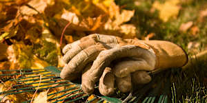Whatever you do,don’t send your autumn leaves off in the green waste.