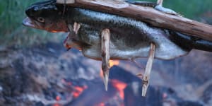 Fish ready for the fire:Nature provides everything we need.