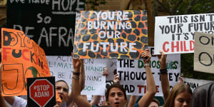 Why I won't be taking part in the global climate strike