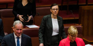 Outgoing Liberal senator Concetta Fierravanti-Wells.
