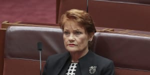 Pauline Hanson shareholding went under the radar for six months