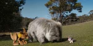 Louie the toy unicorn with Ruby the kangaroo in the new Tourism Australia ads.
