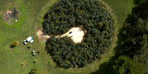 How forests the size of tennis courts transform Australian cities