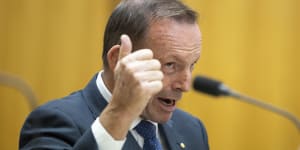 Former prime minister Tony Abbott during a hearing on the Voice to Parliament.