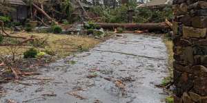 Damage in the Dandenong Ranges.