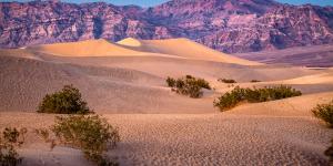 Mesquite Flat Dunes.