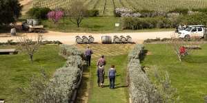Visitors enjoying a walk through the scenic grounds at Lowe Wines,Mudgee. 