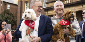 Not the bloody campaign scarf again. I’m a dog,not a billboard. 
