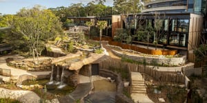 From five-star surrounds,watch wandering fauna at the Taronga's Wildlife Retreat.