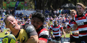 The National Rugby Championship had either eight or nine teams between 2014 and 2019 before it was cruelled by the pandemic.