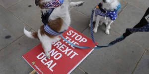 Dogs wear pro EU bandanas during a protest against a Brexit no deal near Parliament in London,Wednesday,Nov. 25,2020. The European Union has committed to be “creative” in the final stages of the Brexit trade negotiations but warned that whatever deal emerges,the United Kingdom will be reduced to “just a valued partner,” far removed from its former membership status. (AP Photo/Kirsty Wigglesworth)