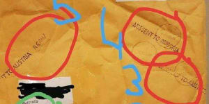 'Special kind of stupid':Australian parcel sent to Austria five times