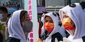 Pro-Beijing supporters dressed as pandas at a campaign rally on Thursday December 16. 