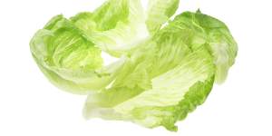 Iceberg lettuce has fallen in price.