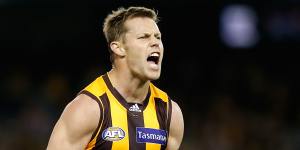 Sam Mitchell in his playing days at Hawthorn.